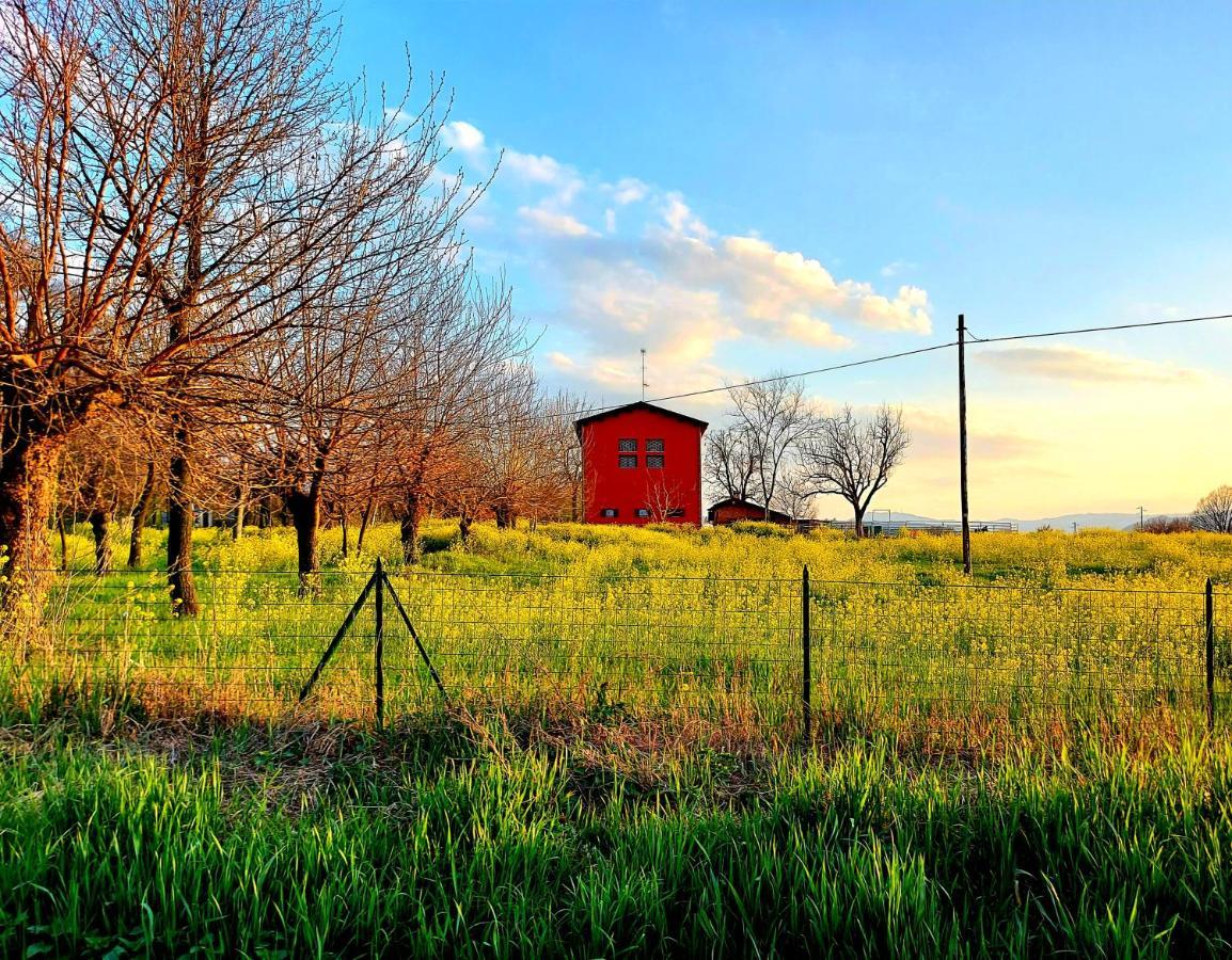 Agriturismo Azienda Agricola Ferrari M.Rita Pozza Kültér fotó